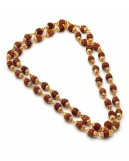 Fancy Mala (Brass Gold Plated and Rudraksha Mala for Unisex)