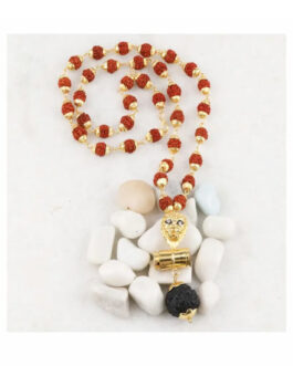 Fancy Mala (Gold Tone Lion Pendant Studded with Diamonds Rudraksha Mala for Men)