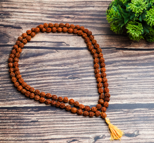 5 Mukhi Divine Harmony 108+1 Rudraksha Beads Jap Mala