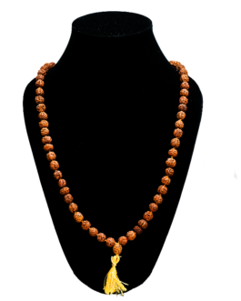 5 Mukhi Divine Harmony 108+1 Rudraksha Beads Jap Mala