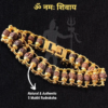 Divine Essence Rudraksha Bracelet - Image 2