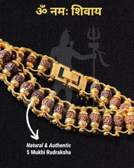 Divine Essence Rudraksha Bracelet